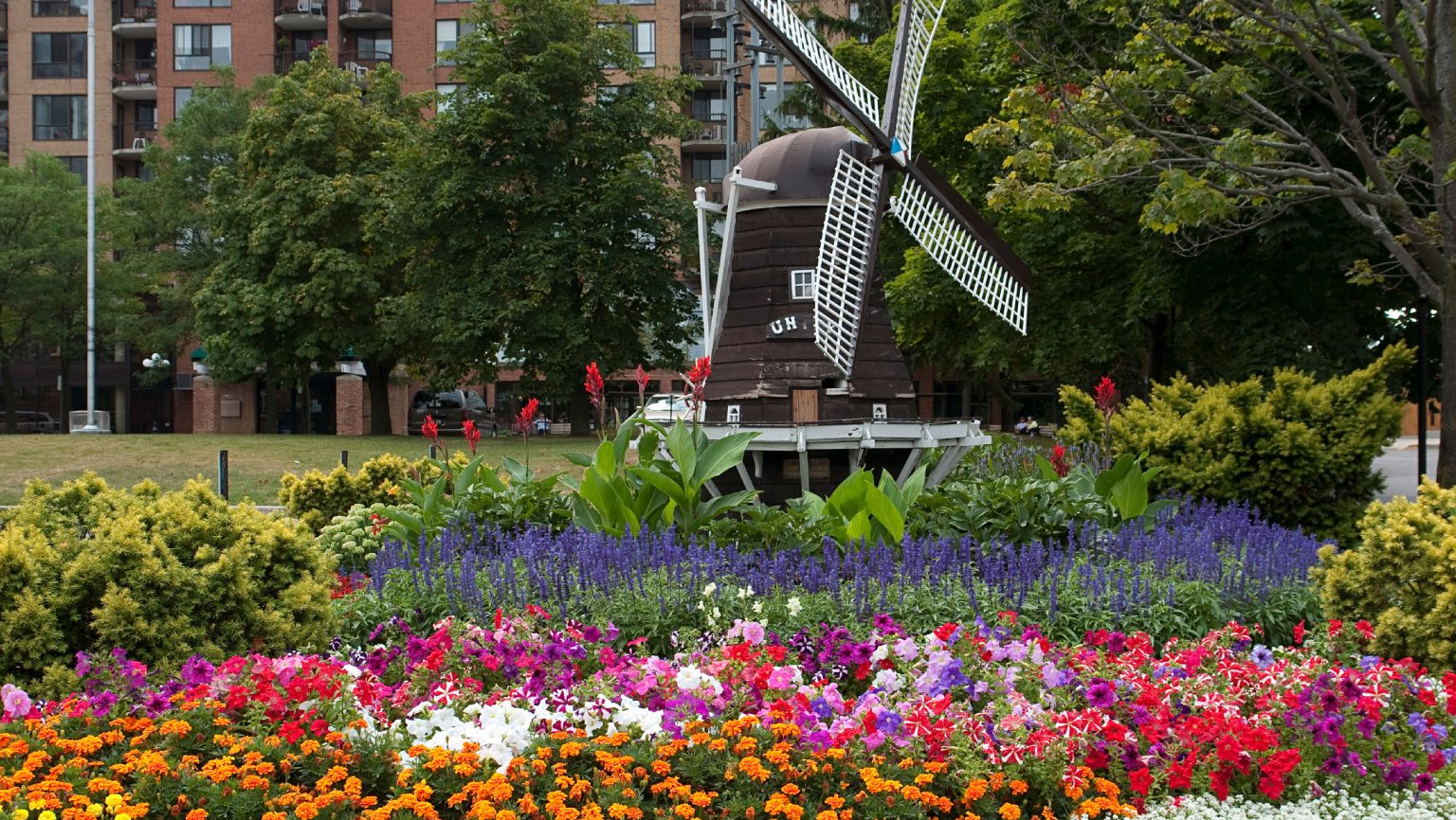 Rent To Own Homes Brampton, Ontario JAAG Properties